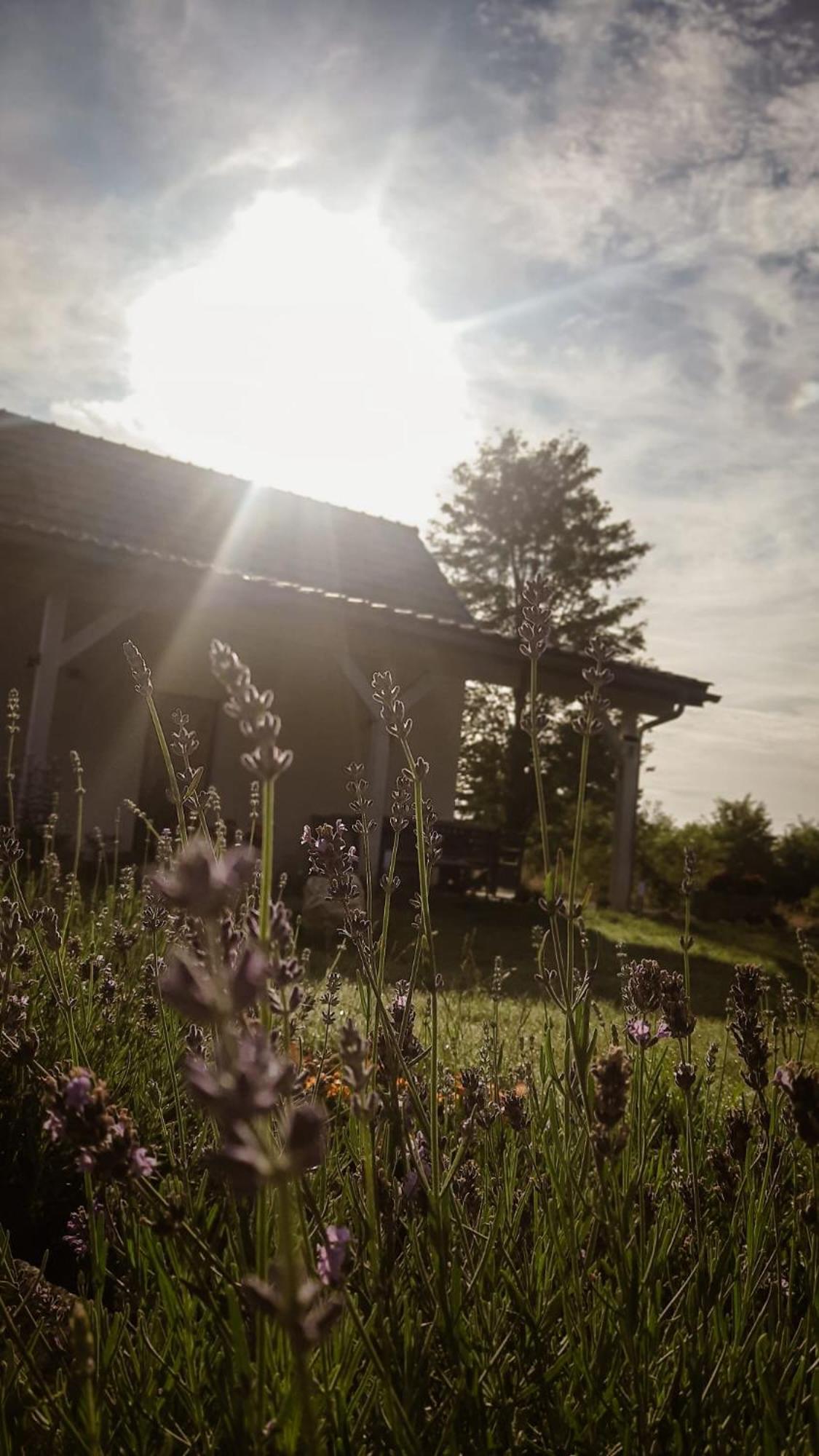 Cudne Manowce Holiday home Giebultow (Lwowek Slaski)